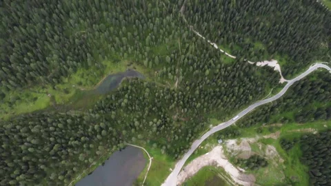 Aerial flight over larch trees in the beautiful Alps. High mountain peaks with Video stock 220280110