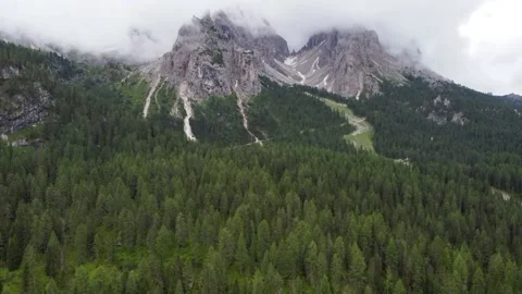Aerial flight over larch trees in the beautiful Alps. High mountain peaks with Stock Footage 220283473