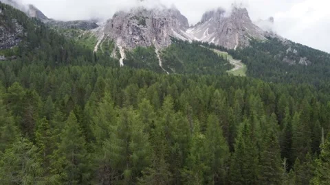 Aerial flight over larch trees in the beautiful Alps. High mountain peaks with Stock Footage 220288475