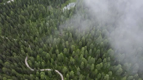 Aerial flight over larch trees in the beautiful Alps. High mountain peaks with Stock Footage 220337590