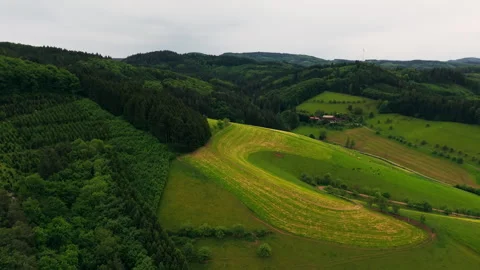 Aerial Flight Over Lush Forest and Rolling Farm Fields to Horizon Stock Footage 338362180