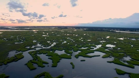 Aerial flight over marsh land at sunset. Stock Footage