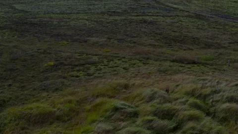 Aerial flight over meadow with view on water flows and volcanic field Stock Footage 167081479