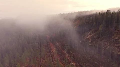 Aerial Flight Over Misty Forest in Autumn Morning Stock Footage 320046484