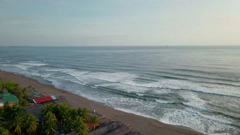 Aerial flight over palm tree revealing beach and waves Stock Footage 146992168