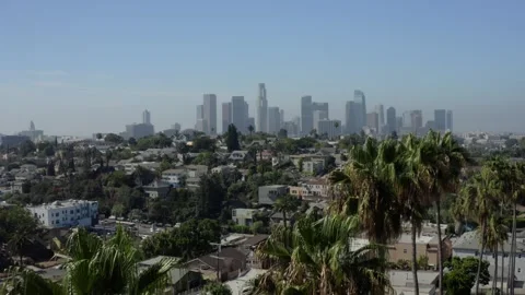 Aerial Flight Over Palm Trees Toward Los Angeles Skyline Stock Footage 346656142