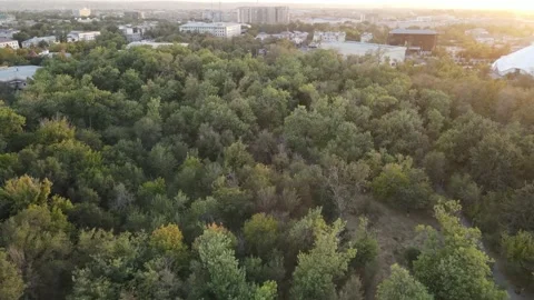 Aerial flight over the park during sunset. Big green park footage from drone Stock Footage 233491262