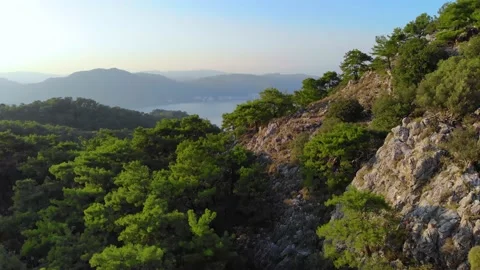 Aerial flight over pine forest in the mountains island at sunset. The drone shot 스톡 동영상 145275157