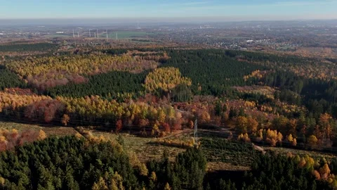 Aerial Flight Over Pine Forest Towards City and Highway Stock Footage 320904707