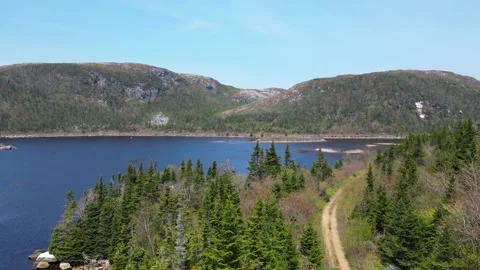 Aerial Flight Over Pines Revealing Blue Lake Stock Footage 253425053
