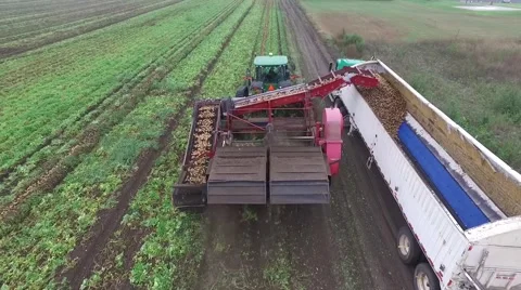 Aerial Flight Over Potato Harvest Stock Footage