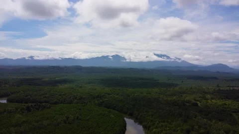 Aerial Flight Over River and Green Mangrove Forest Towards Mountain Under Blue S Stock Footage 342053101