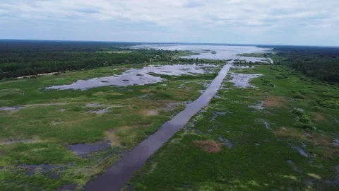 Aerial flight over river flowing through swamp. Landscape of wild nature. River Video stock 314781304