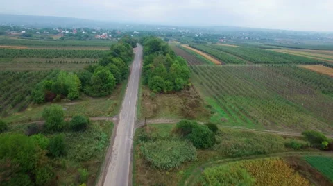 Aerial: Flight over the road between fields Stock Footage 55361263