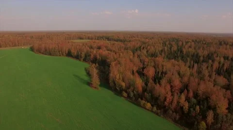Aerial Flight over the road between fields. Autumn colors. Stock Footage 68538878