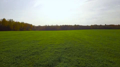 Aerial Flight over the road between fields. Autumn colors. Stock Footage 68538879