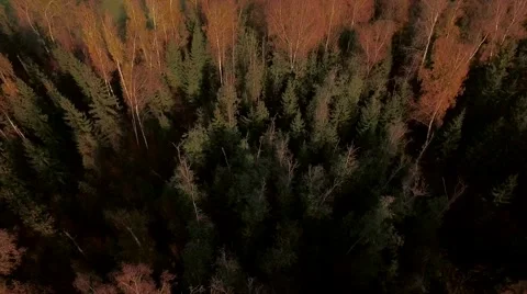 Aerial Flight over the road between fields. Autumn colors. Stock Footage 68538953