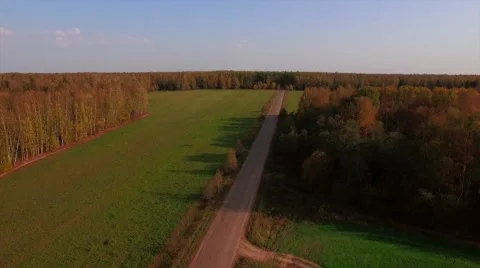 Aerial Flight over the road between fields. Autumn colors. Stock Footage 68538977