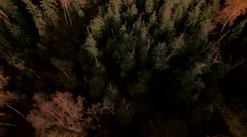 Aerial Flight over the road between fields. Autumn colors. Stock Footage 68539039