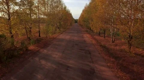 Aerial Flight over the road between fields. Autumn colors. Video stock 68539073