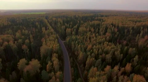 Aerial Flight over the road between fields. Autumn colors. Stock Footage 68539081