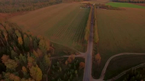 Aerial Flight over the road between fields. Autumn colors. Stock Footage 68539111