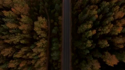 Aerial Flight over the road between fields. Autumn colors. Video stock 68539124