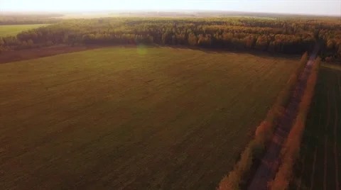 Aerial Flight over the road between fields. Autumn colors. Video stock 68539140