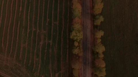Aerial Flight over the road between fields. Autumn colors. Stock Footage 68539177