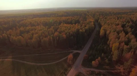 Aerial Flight over the road between fields. Autumn colors. Stock Footage 68539203
