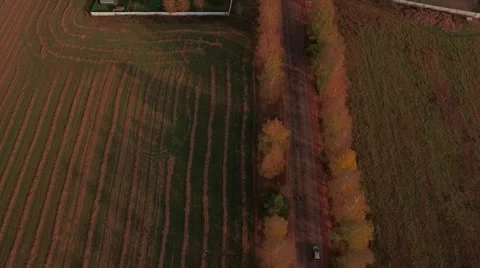 Aerial Flight over the road between fields. Autumn colors. Stock Footage 68539230