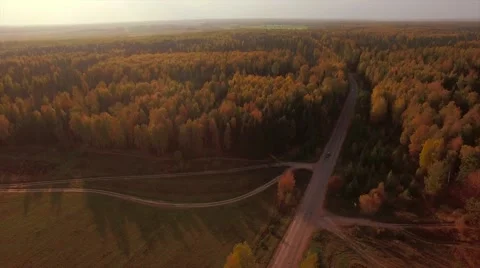 Aerial Flight over the road between fields. Autumn colors. Video stock 68539278