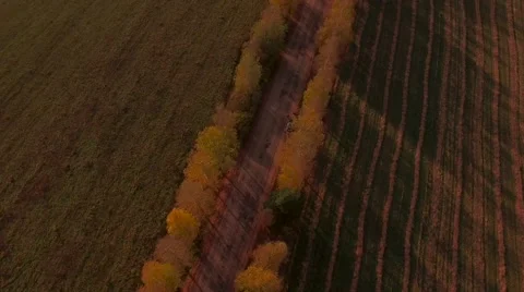 Aerial Flight over the road between fields. Autumn colors. Video stock 68539325