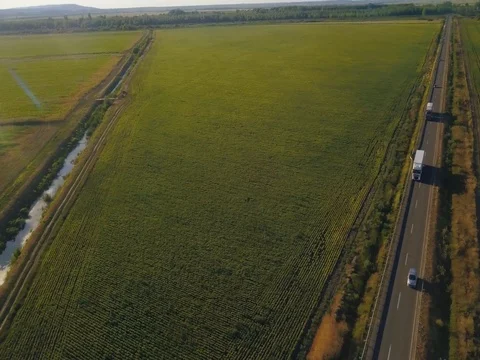 Aerial Flight over the road between fields.  Aerial drone footage 4k Stock Footage 78413168