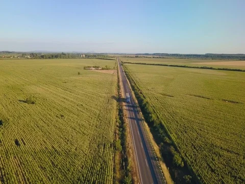Aerial Flight over the road between fields.  Aerial drone footage 4k Stock Footage 78560198