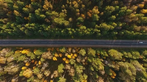 Aerial Flight over the road between fields. Autumn colors. Stock-Footage 80900913
