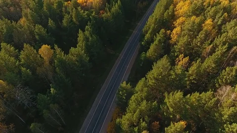 Aerial Flight over the road between fields. Autumn colors. Stock Footage 80901060