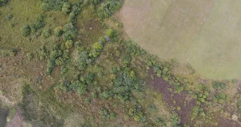 Aerial Flight over the road between fields. Autumn colors. Stock Footage 87167258