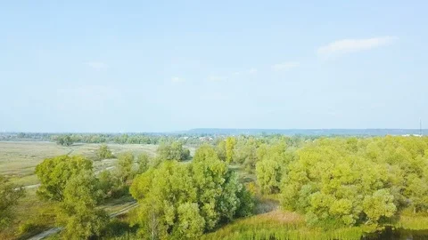 Aerial Flight over the road between fields. Autumn colors. Stock Footage 96125355