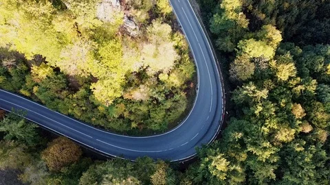 Aerial Flight over the road between green trees. Autumn colors. Motorcycle Stock Footage 102817747