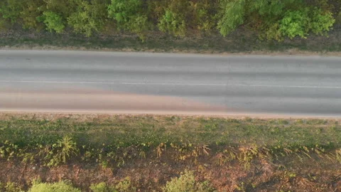 Aerial Flight over the road between fields. Autumn colors. Aerial of green Stock Footage 107651799