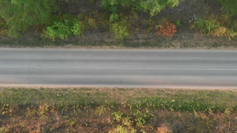 Aerial Flight over the road between fields. Autumn colors. Aerial of green Stock Footage 107652083