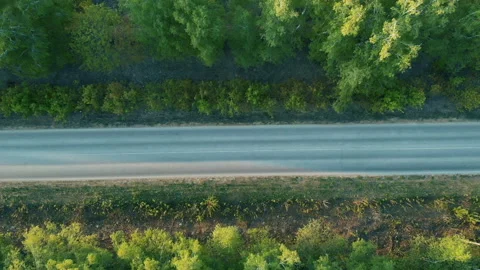 Aerial Flight over the road between fields. Autumn colors. Aerial of green Stock Footage 107652268