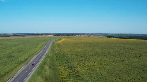 AERIAL: flight over a road Stock-Footage 53318942