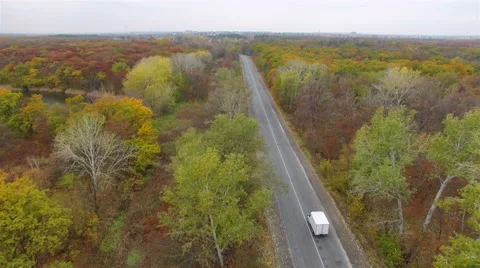 Aerial: flight over road in the forest. Stock Footage 56682891