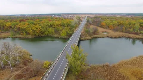 Aerial: flight over road in the forest. Stock Footage 56684399