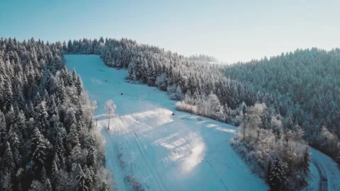 AERIAL: Flight Over Ski Slopes and Snow Covered Trees, Winter Morning Vidéo 140368502