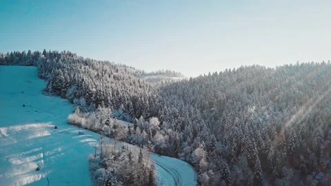 AERIAL: Flight Over Ski Slopes and Snow Covered Trees, Winter Morning 스톡 동영상 140369043