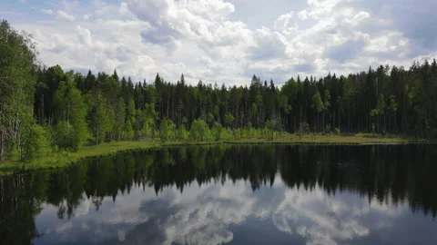Aerial flight over a small forest lake. Video stock 155495351