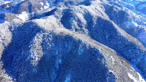 Aerial Flight Over Snow Covered Frozen Forest on a Sunny Winter Day in 4K Vídeo Stock 335239394